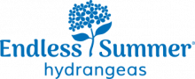 Logo Endless Summer