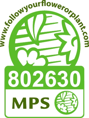 Logo MPS