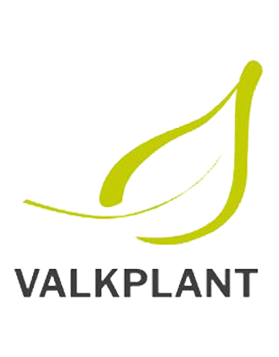 Valkplant Innovative Plants