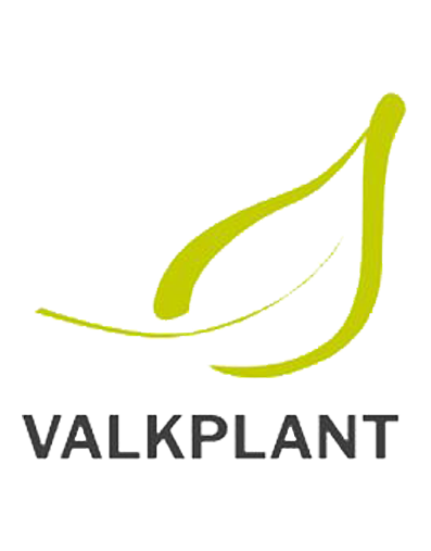 Valkplant Innovative Plants Valkplant Innovative Plants