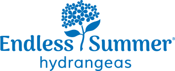 Logo Endless Summer Logo Endless Summer
