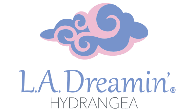 Logo L.A Dreamin'