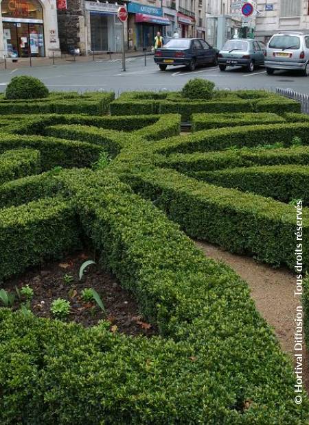 © Hortival Diffusion - Tous droits réservés