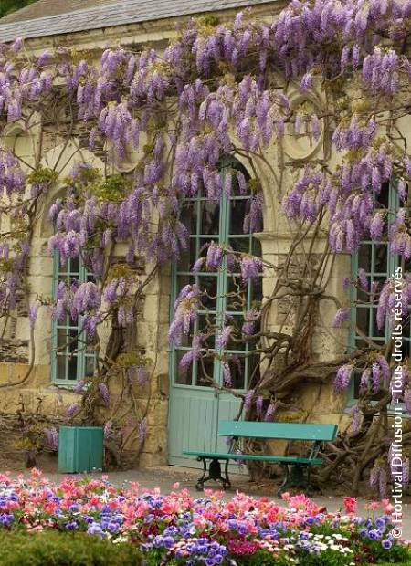 © Hortival Diffusion - Tous droits réservés