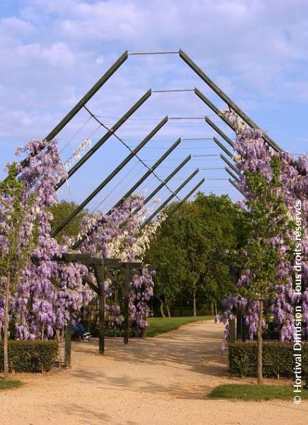 © Hortival Diffusion - Tous droits réservés