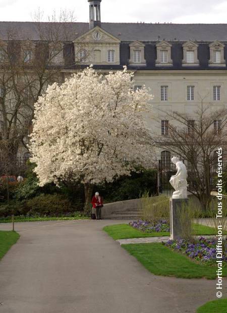 © Hortival Diffusion - Tous droits réservés