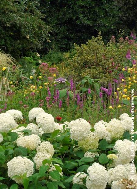 © Hortival Diffusion - Tous droits réservés