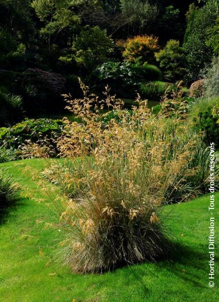 © Hortival Diffusion - Tous droits réservés