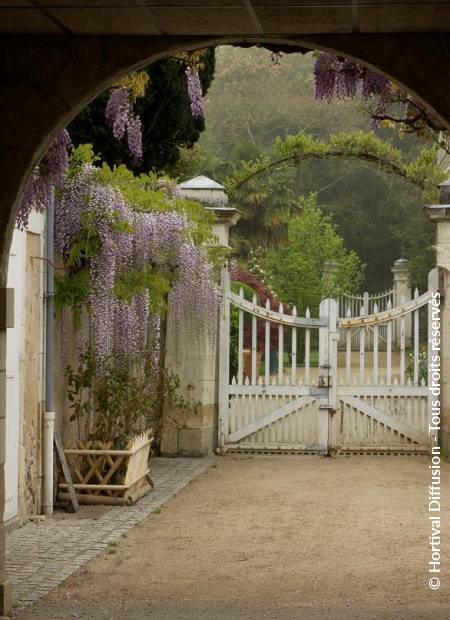 © Hortival Diffusion - Tous droits réservés