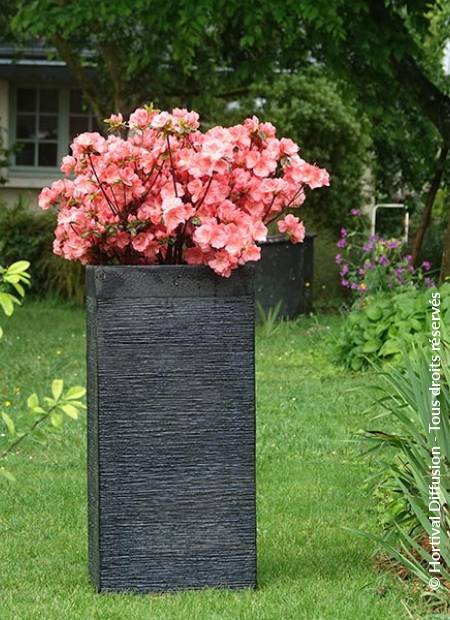 © Hortival Diffusion - Tous droits réservés