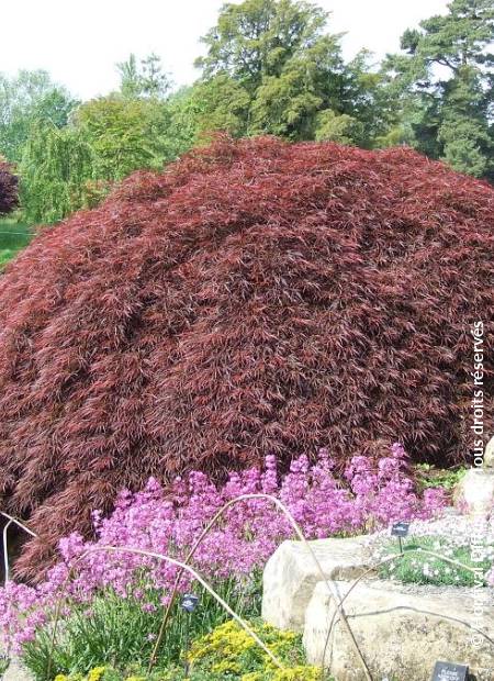 © Hortival Diffusion - Tous droits réservés