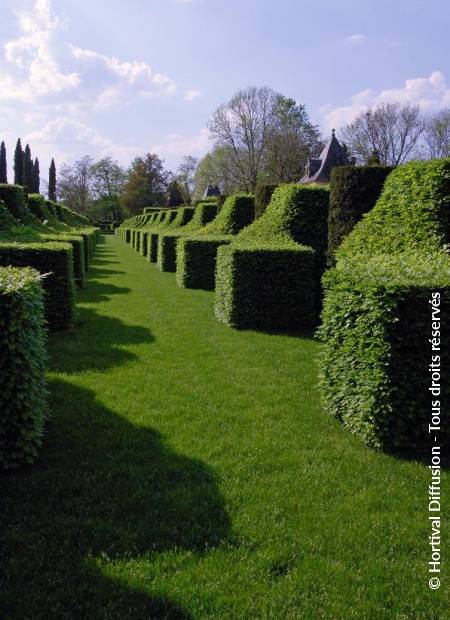 © Hortival Diffusion - Tous droits réservés