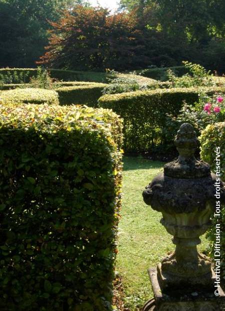 © Hortival Diffusion - Tous droits réservés