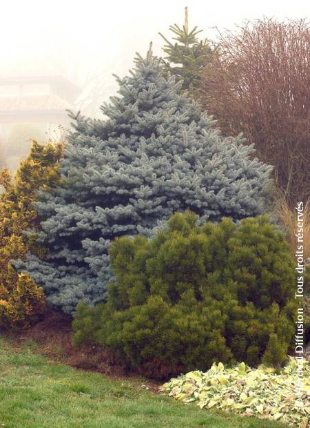 © Hortival Diffusion - Tous droits réservés