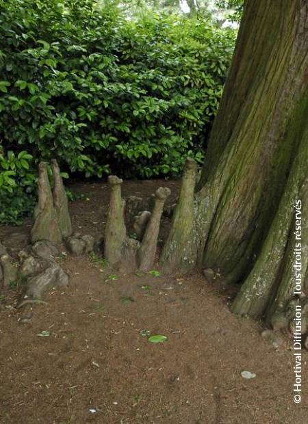 © Hortival Diffusion - Tous droits réservés