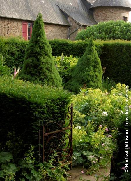 © Hortival Diffusion - Tous droits réservés