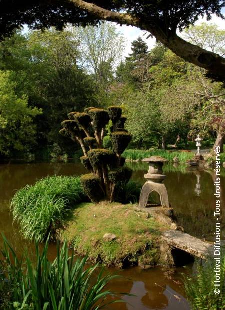 © Hortival Diffusion - Tous droits réservés