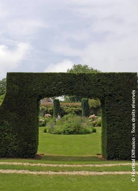 © Hortival Diffusion - Tous droits réservés