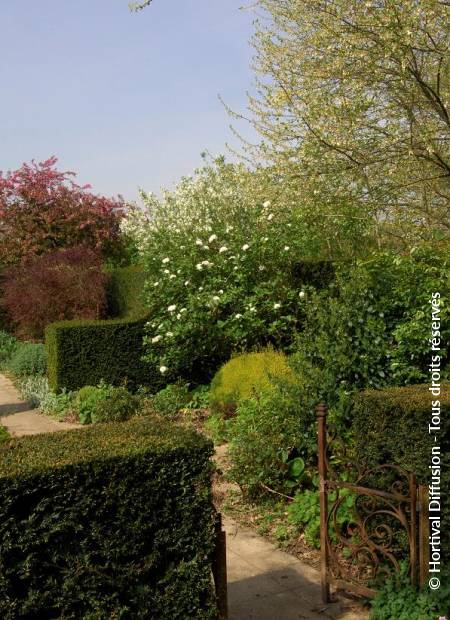 © Hortival Diffusion - Tous droits réservés