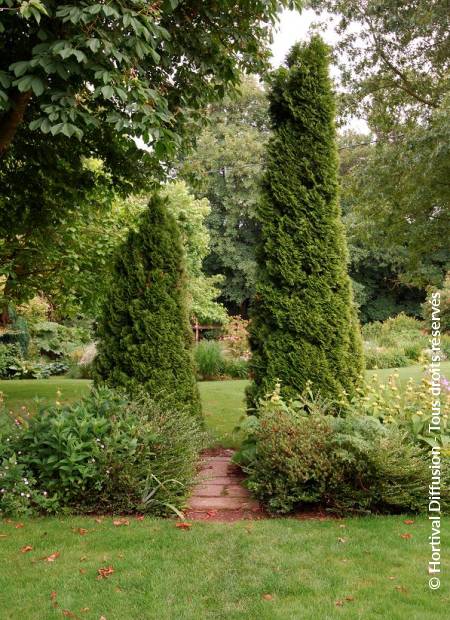 © Hortival Diffusion - Tous droits réservés