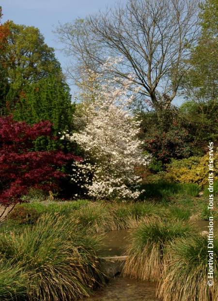 © Hortival Diffusion - Tous droits réservés