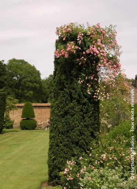 © Hortival Diffusion - Tous droits réservés