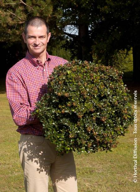 © Hortival Diffusion - Tous droits réservés