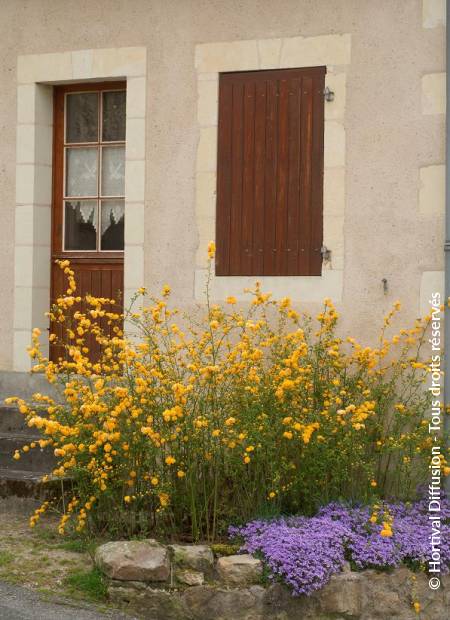 © Hortival Diffusion - Tous droits réservés