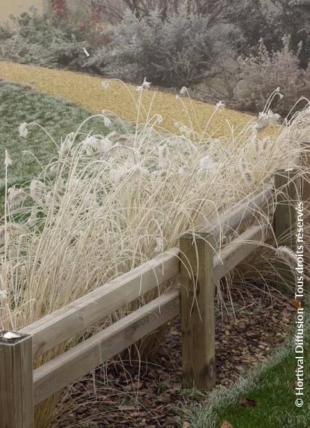 © Hortival Diffusion - Tous droits réservés