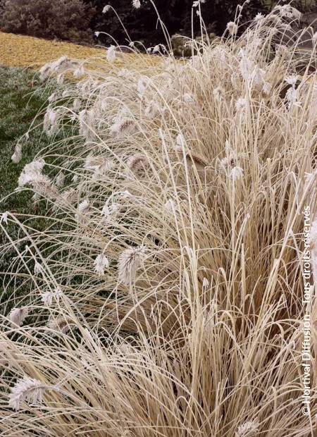 © Hortival Diffusion - Tous droits réservés