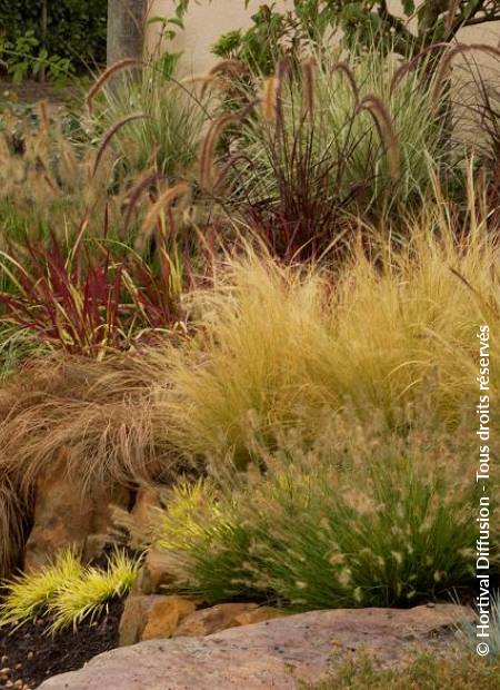 © Hortival Diffusion - Tous droits réservés