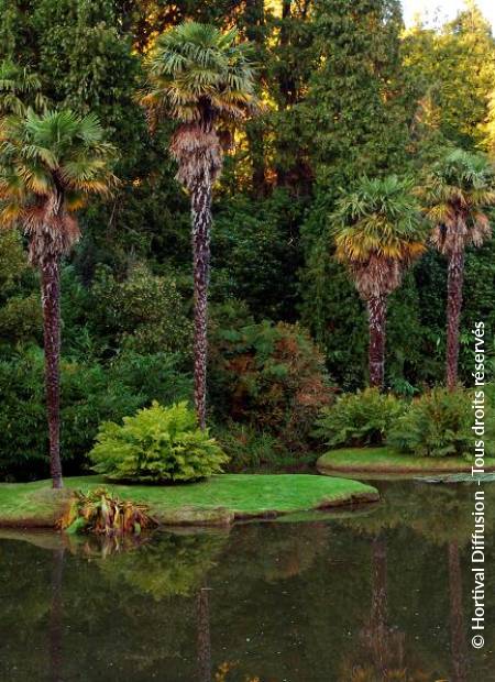 © Hortival Diffusion - Tous droits réservés