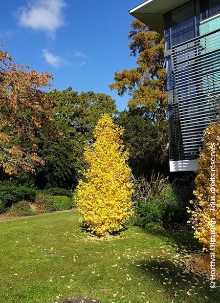 © Hortival Diffusion - Tous droits réservés