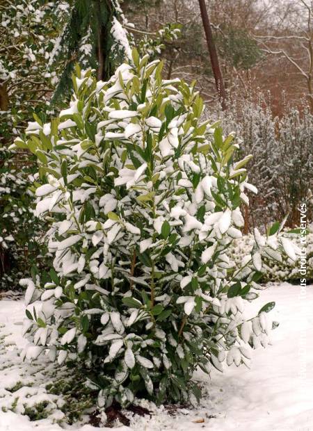 © Hortival Diffusion - Tous droits réservés