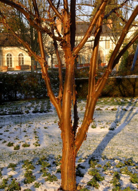 © Hortival Diffusion - Tous droits réservés
