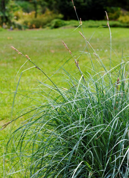 © Hortival Diffusion - Tous droits réservés