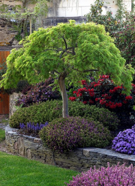 © Hortival Diffusion - Tous droits réservés