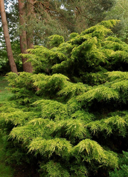 © Hortival Diffusion - Tous droits réservés