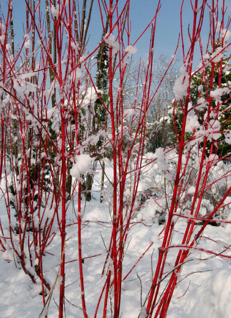 © Hortival Diffusion - Tous droits réservés
