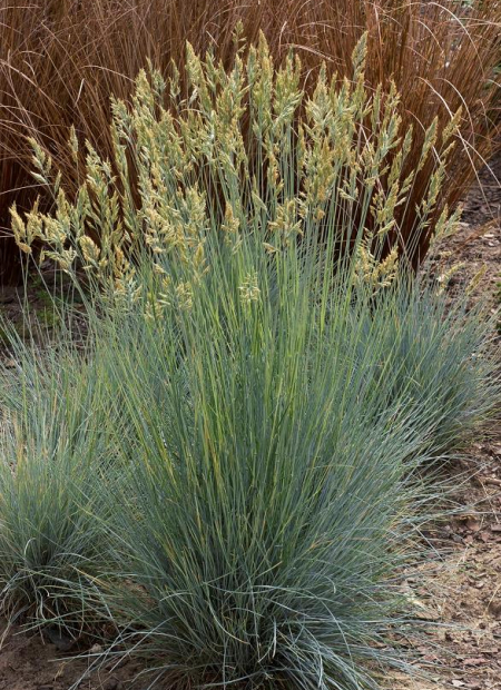 © Hortival Diffusion - Tous droits réservés