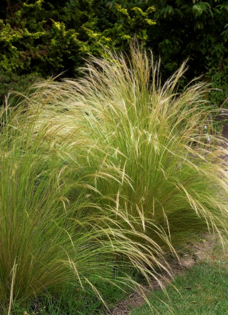 © Hortival Diffusion - Tous droits réservés