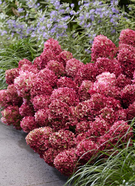 © Visions-LIVING CREATIONS®