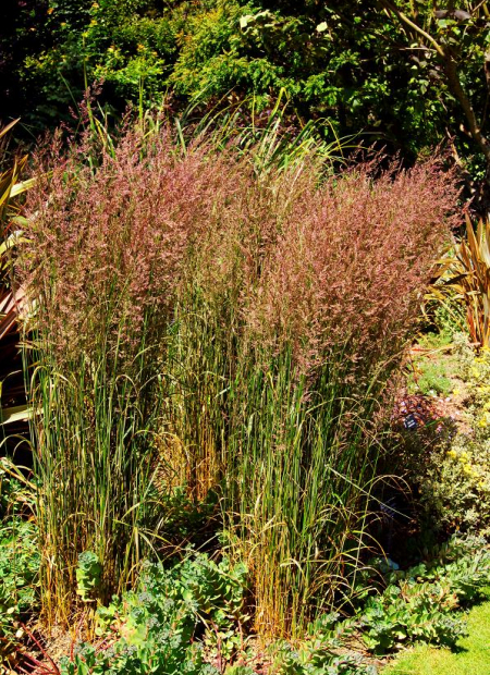 © Hortival Diffusion - Tous droits réservés