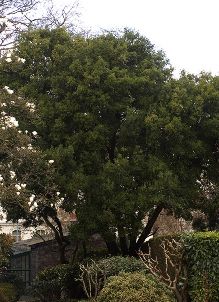 © Hortival Diffusion - Tous droits réservés