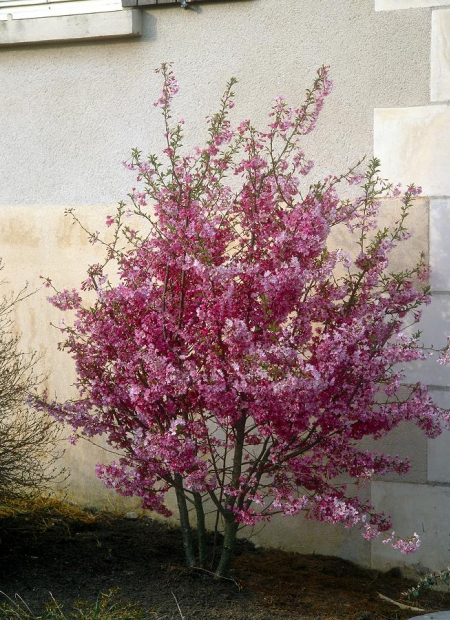 © Hortival Diffusion - Tous droits réservés