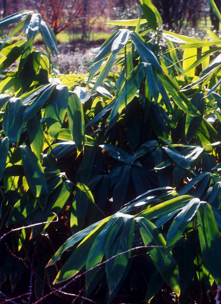 © Hortival Diffusion - Tous droits réservés