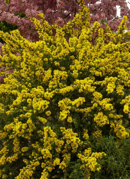 © Hortival Diffusion - Tous droits réservés
