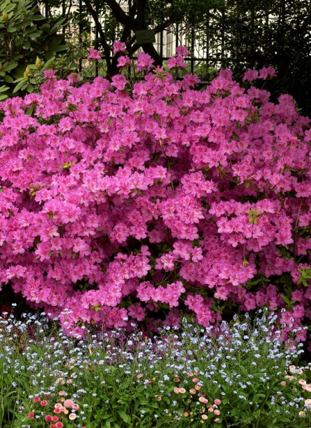 © Hortival Diffusion - Tous droits réservés