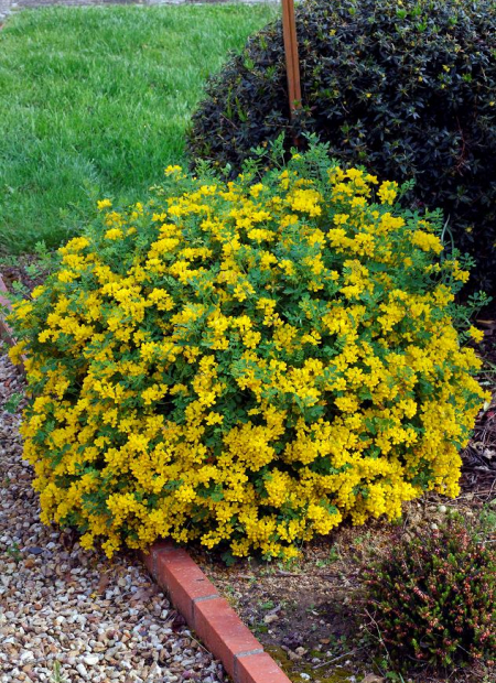 © Hortival Diffusion - Tous droits réservés