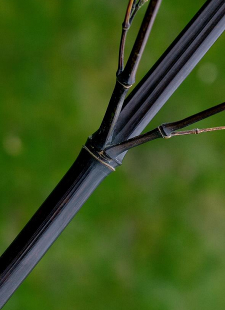 © Hortival Diffusion - Tous droits réservés